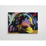 Casa si Gradina - Decoratiuni - Tablouri - Tablou canvas decorativ, Wallxpert, multicolor, 50x70 cm, bumbac si poliester, 227WRZ1103 - Infinity.ro