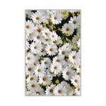 Casa si Gradina - Textile si covoare - Covoare - Covorase intrare - Covoras de intrare, Conceptum Hypnose, multicolor, 100x150 cm, 100% poliester, antiderapant, 477HFT1960 - Infinity.ro