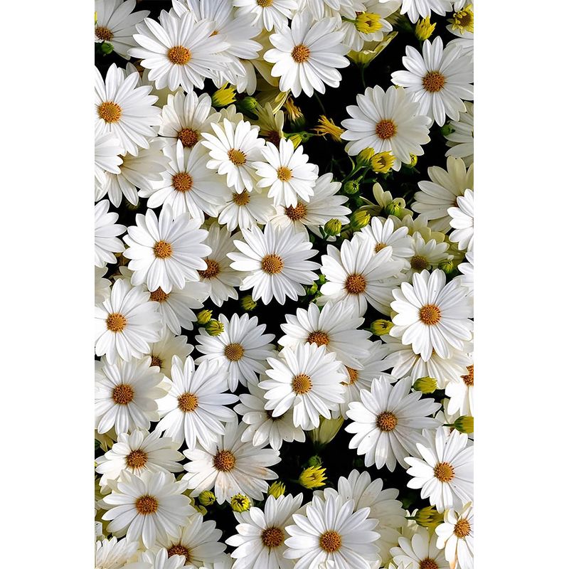 Casa si Gradina - Textile si covoare - Covoare - Covorase intrare - Covoras de intrare, Conceptum Hypnose, multicolor, 100x150 cm, 100% poliester, antiderapant, 477HFT1960 - Infinity.ro