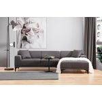Casa si Gradina - Mobilier - Canapele si coltare - Coltare - Coltar, Hanah Home, lemn fag si pal, antracit, 145x250x77 cm, 560ARE1607 - Infinity.ro