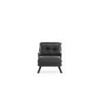 Casa si Gradina - Mobilier - Canapele si coltare - Canapele - Canapea extensibila, Hanah Home, metal, stofa in, gri inchis, 175x60 cm - Infinity.ro