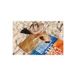 Casa si Gradina - Textile si covoare - Textile baie - Prosoape - Prosop de plaja, L'essentiel Maison, multicolor, 90x150 cm, microfibra, 450AST1173 - Infinity.ro