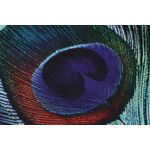 Casa si Gradina - Textile si covoare - Covoare - Covorase baie - Set covorase baie, L'essentiel Maison, multicolor, 60x100 cm si 2x 50x60 cm, 100% poliester, antiderapant, 359CHL4472 - Infinity.ro
