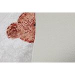 Casa si Gradina - Textile si covoare - Covoare - Covorase baie - Covoras de baie, L'essentiel Maison, multicolor, 80x100 cm, 100% poliester, antiderapant, 359CHL5121 - Infinity.ro