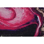 Casa si Gradina - Textile si covoare - Covoare - Covorase baie - Covoras de baie, L'essentiel Maison, multicolor, 160 cm, 100% poliester, antiderapant, 359CHL4813 - Infinity.ro