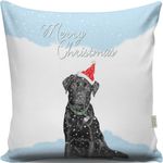 Casa si Gradina - Textile si covoare - Perne si pilote - Perne decorative - Perna decorativa, Aberto Design, multicolor, 43x43 cm, 50% bumbac, 50% poliester, umplutura siliconica, 420GRC2147 - Infinity.ro