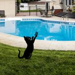 Casa si Gradina - Gradina si terasa - Decoratiuni exterior - Ornamente gradina - Obiect decorativ, Aberto Design, metal, negru, 49x24 cm - Infinity.ro