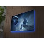 Casa si Gradina - Decoratiuni - Tablouri - Tablou canvas cu led, Wallxpert, piele de caprioara, multicolor, 45x70 cm, 254LED4326 - Infinity.ro