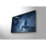 Casa si Gradina - Decoratiuni - Tablouri - Tablou canvas cu led, Wallxpert, piele de caprioara, multicolor, 45x70 cm, 254LED4326 - Infinity.ro