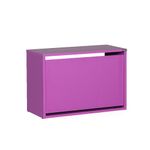 Casa si Gradina - Mobilier - Dulapuri si sifoniere - Dulapuri pantofi - Dulap pantofi, Hanah Home, pal melaminat, mov, 60x42x30 cm - Infinity.ro