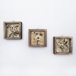 Casa si Gradina - Decoratiuni - Tablouri - Set tablouri decorative, Wallxpert, mdf, multicolor, 15x15 cm, 3 piese, 836EVL4620 - Infinity.ro