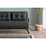 Casa si Gradina - Mobilier - Canapele si coltare - Canapele - Canapea extensibila 2 locuri, Hanah Home, stofa tip in, gri inchis, 175x133 cm - Infinity.ro