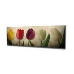 Casa si Gradina - Decoratiuni - Tablouri - Tablou decorativ, Wallxpert, panza, multicolor, 30x80 cm, 265VGA1116 - Infinity.ro