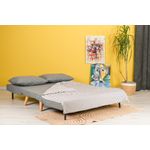 Casa si Gradina - Mobilier - Canapele si coltare - Canapele - Canapea extensibila, Hanah Home, metal si poliester, gri deschis, 120x79x80 cm - Infinity.ro