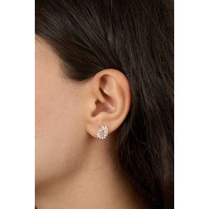 Cercei, Heliophilia, argint 925, argintiu, marime universala, 757ELS1918