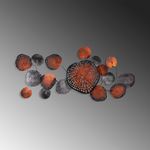 Casa si Gradina - Decoratiuni - Decoratiuni perete - Accesoriu decorativ de perete, Wallxpert, metal, multicolor, 125x62x4 cm, 930DYU1297 - Infinity.ro