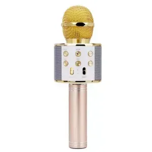 TV, Audio-Video si Foto - Accesorii TV si audio - Microfoane - Infinity.ro
