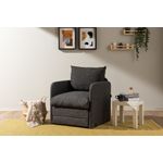 Casa si Gradina - Mobilier - Canapele si coltare - Canapele - Canapea extensibila, Atelier Del Sofa, textil, gri inchis, 68x70x66 cm - Infinity.ro