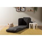 Casa si Gradina - Mobilier - Canapele si coltare - Canapele - Canapea extensibila, Atelier Del Sofa, textil, gri inchis, 68x70x66 cm - Infinity.ro