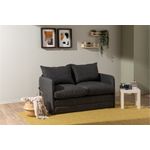 Casa si Gradina - Mobilier - Canapele si coltare - Canapele - Canapea extensibila, Atelier Del Sofa, metal, textil, gri inchis, 128x70x66 cm - Infinity.ro