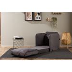 Casa si Gradina - Mobilier - Canapele si coltare - Canapele - Canapea extensibila, Atelier Del Sofa, textil, gri, 68x70x66 cm - Infinity.ro