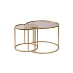 Casa si Gradina - Mobilier - Mese si birouri - Masute de cafea - Set masute de cafea, Hanah Home, sticla securizata si metal, auriu bronz, 60x43x60 cm si 42x39x42 cm - Infinity.ro