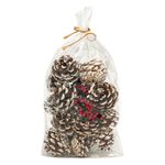 Casa si Gradina - Decoratiuni - Decoratiuni de sezon - Set conuri decorative, ninse, insertii pomusoare rosu, lemn, diametru 5cm, 20 bucati - Infinity.ro