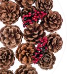 Casa si Gradina - Decoratiuni - Decoratiuni de sezon - Set conuri decorative, 5 cm, lemn, 20 bucati, rosu si maro - Infinity.ro