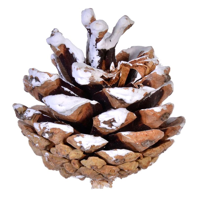 Casa si Gradina - Decoratiuni - Decoratiuni de sezon - Set conuri decorative, ninse, insertii pomusoare rosu, lemn, diametru 5cm, 20 bucati - Infinity.ro