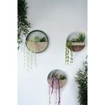 Casa si Gradina - Decoratiuni - Obiecte decorative - Plante artificiale - Plante artificiale de perete, Wallxpert, metal, verde alb, 30x30x5 cm - Infinity.ro