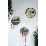 Casa si Gradina - Decoratiuni - Obiecte decorative - Plante artificiale - Plante artificiale de perete, Wallxpert, metal, verde alb, 30x30x5 cm - Infinity.ro