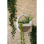 Casa si Gradina - Decoratiuni - Obiecte decorative - Plante artificiale - Plante artificiale de perete, Wallxpert, metal, verde alb, 30x30x5 cm - Infinity.ro