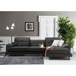 Casa si Gradina - Mobilier - Canapele si coltare - Coltare - Coltar, Hanah Home, cadru lemn fag si pal, antracit, 308x190x100 cm - Infinity.ro