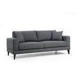Casa si Gradina - Mobilier - Canapele si coltare - Canapele - Canapea extensibila 3 locuri, Hanah Home, cadru lemn fag si PAL, gri inchis, 210x90x85 cm - Infinity.ro