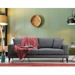 Casa si Gradina - Mobilier - Canapele si coltare - Canapele - Canapea extensibila 3 locuri, Hanah Home, cadru lemn fag si PAL, gri inchis, 210x90x85 cm - Infinity.ro