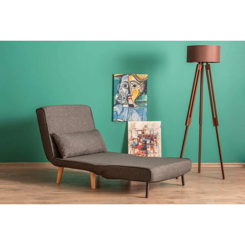 Casa si Gradina - Mobilier - Canapele si coltare - Canapele - Canapea extensibila, Hanah Home, metal, gri inchis, 180x80 cm - Infinity.ro
