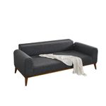 Casa si Gradina - Mobilier - Canapele si coltare - Canapele - Canapea extensibila, Atelier Del Sofa, lemn fag si placi aglomerate, antracit, 222x90x80 cm - Infinity.ro