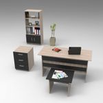 Casa si Gradina - Mobilier - Mese si birouri - Birouri - Set mobilier birou, Hanah Home, pal melaminat, stejar si negru, 4 piese - Infinity.ro