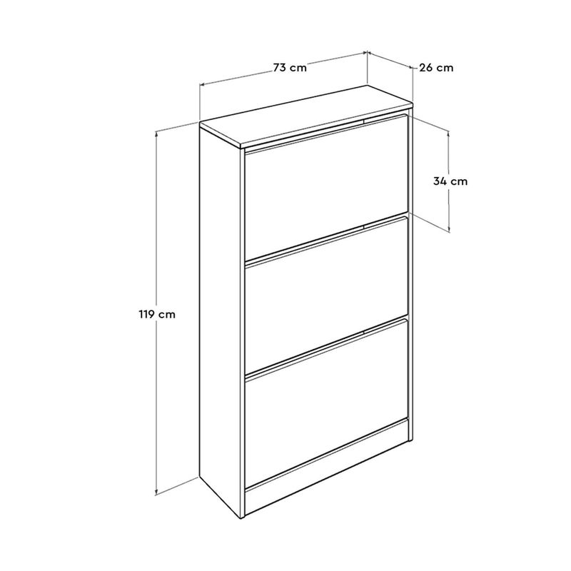 Casa si Gradina - Mobilier - Dulapuri si sifoniere - Dulapuri pantofi - Dulap pantofi, Hanah Home, pal melaminat, alb, 73x26x119 cm - Infinity.ro