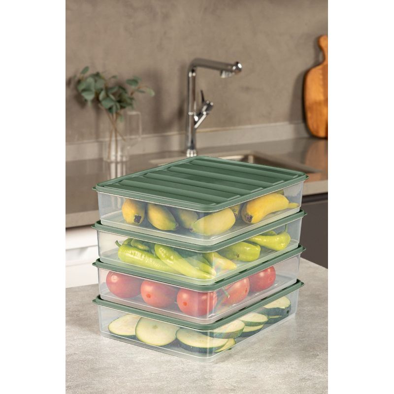 Casa si Gradina - Bucatarie si vesela - Organizare si depozitare bucatarie - Cutii alimentare - Set cutii alimentare, Hermia, plastic, verde, 23x29,5x6,5 cm, 4 bucati - Infinity.ro