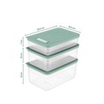 Casa si Gradina - Bucatarie si vesela - Organizare si depozitare bucatarie - Cutii alimentare - Set cutii de depozitare, Hermia, plastic, verde, 18,5x28,5x7/10/13 cm, 3 piese - Infinity.ro