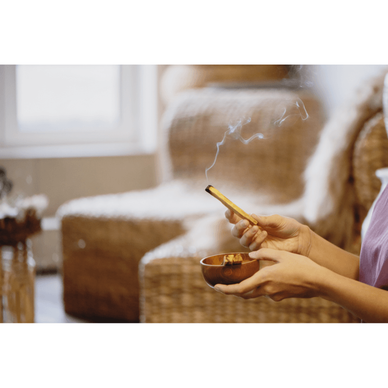 Casa si Gradina - Decoratiuni - Aromaterapie si lumanari - Odorizante camera - Manunchi de fumigatie salvie alba si palo santo, 10cm - Infinity.ro