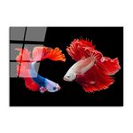 Casa si Gradina - Decoratiuni - Tablouri - Tablou decorativ din sticla temperata, Wallxpert, multicolor, 70x100 cm, 123BZM1230 - Infinity.ro