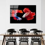 Casa si Gradina - Decoratiuni - Tablouri - Tablou decorativ din sticla temperata, Wallxpert, multicolor, 70x100 cm, 123BZM1230 - Infinity.ro