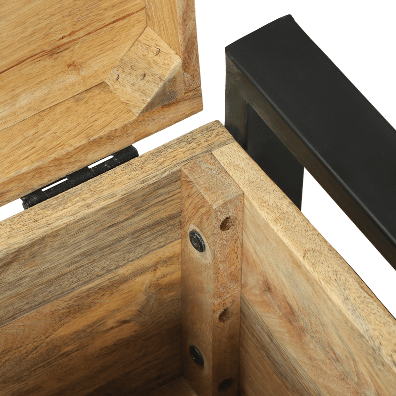 Casa si Gradina - Mobilier - Organizare si depozitare - Cutii depozitare - Lazi de depozitare, 40x30x30 cm, lemn masiv mango & metal - Infinity.ro