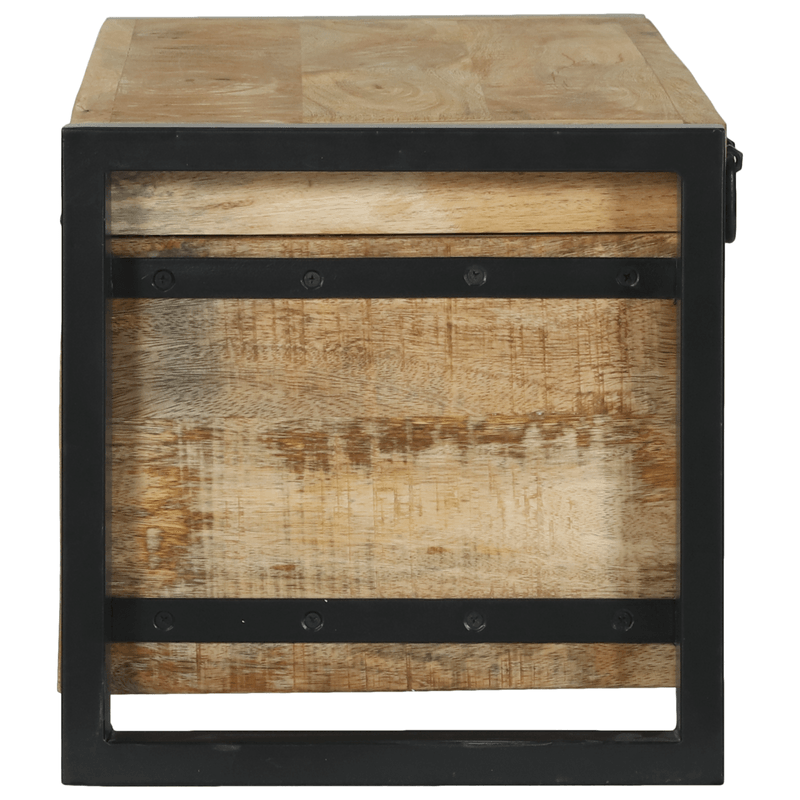 Casa si Gradina - Mobilier - Organizare si depozitare - Cutii depozitare - Lazi de depozitare, 80x30x30 cm, lemn masiv mango & metal - Infinity.ro