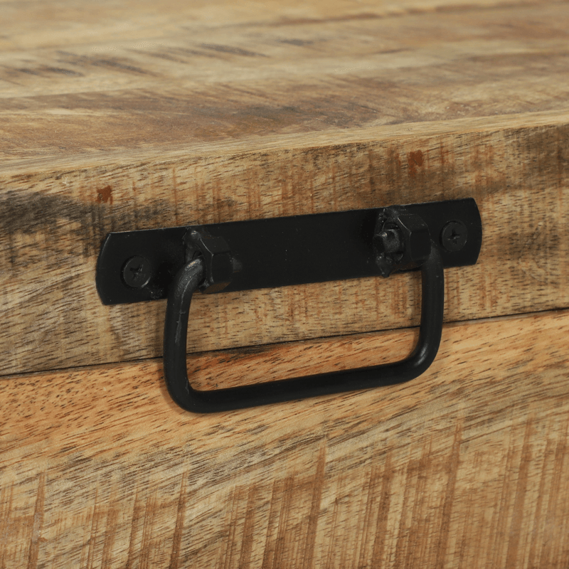 Casa si Gradina - Mobilier - Organizare si depozitare - Cutii depozitare - Lazi de depozitare, 80x30x30 cm, lemn masiv mango & metal - Infinity.ro