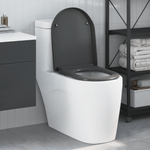 Casa si Gradina - Sanitare - Obiecte sanitare - Accesorii vase de toaleta - Capac WC cu eliberare rapida inchidere lenta antracit duroplast - Infinity.ro