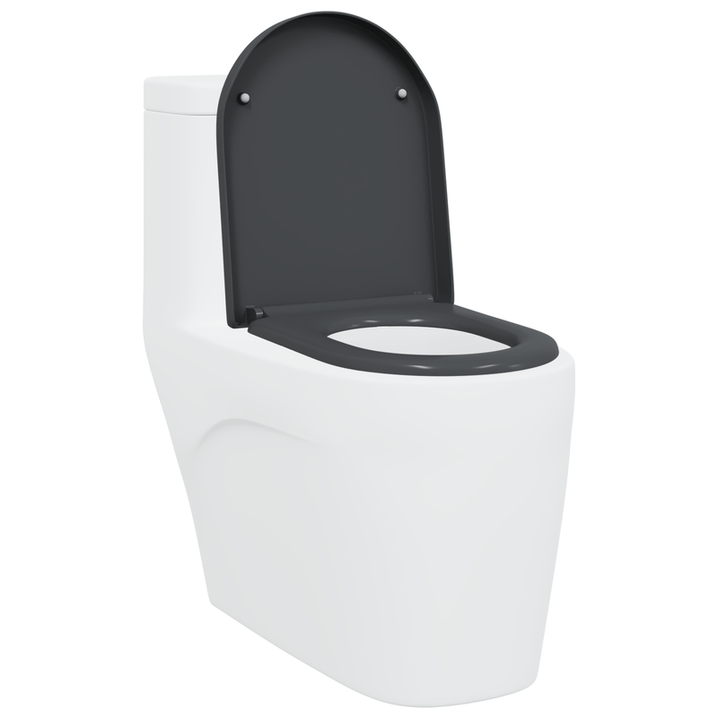 Casa si Gradina - Sanitare - Obiecte sanitare - Accesorii vase de toaleta - Capac WC cu eliberare rapida inchidere lenta antracit duroplast - Infinity.ro