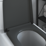Casa si Gradina - Sanitare - Obiecte sanitare - Accesorii vase de toaleta - Capac WC cu eliberare rapida inchidere lenta antracit duroplast - Infinity.ro